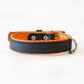 Halsband LIMITED EDITION - black / snake