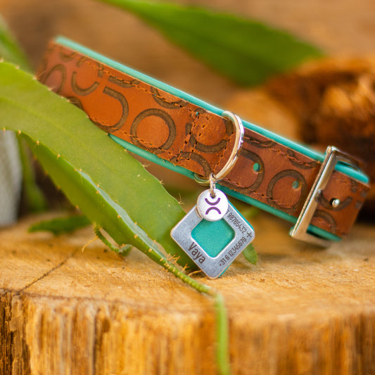 Penning - turquoise