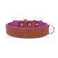 Halsband Bowie - cognac / bubblegum