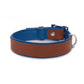 Halsband Bowie - cognac / azure