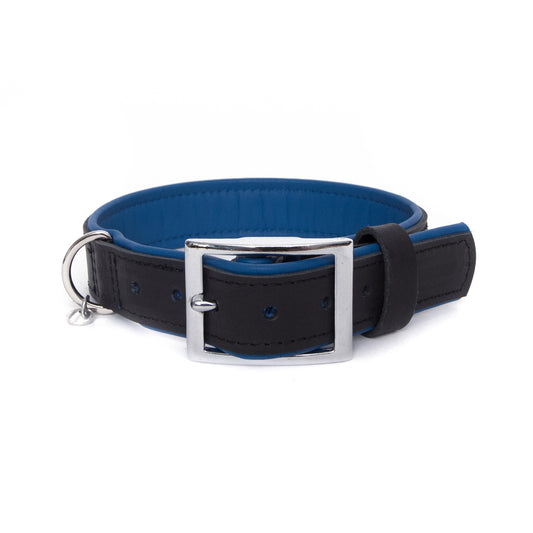 Halsband Bowie - black / azure
